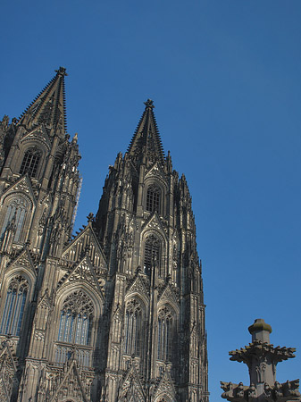 Fotos Kreuzblume vor Kölner Dom