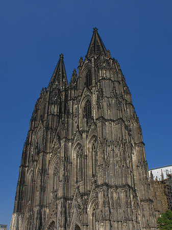 Fotos Touristen tummeln sich vor Kölner Dom