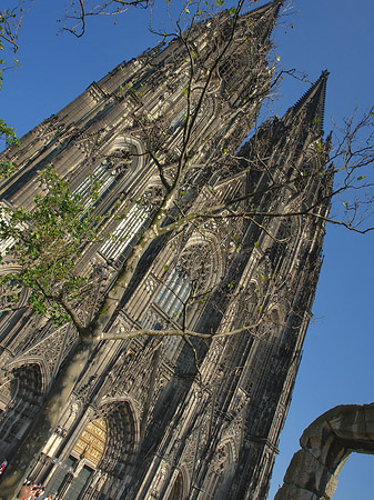 Nordtor des Kölner Doms - Nordrhein-Westfalen (Köln)