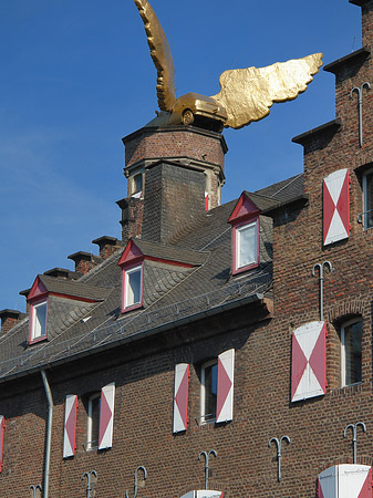 Flügelauto auf Kölnischem Stadtmuseum