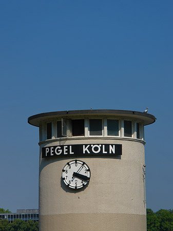 Fotos Pegel Köln | Köln