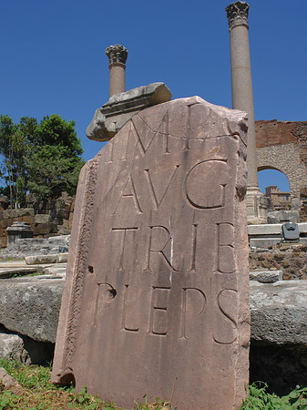 Basilica Aemilia - Latium (Rom) (Rom)