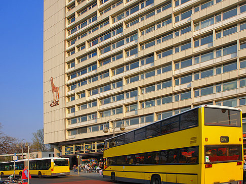 Busse am Bahnhof - Berlin (Berlin)