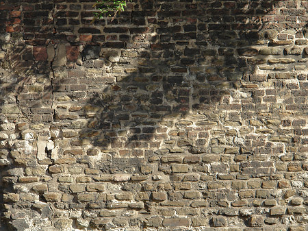 Fotos Burgmauer | Köln