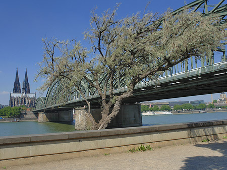 Hohenzollernbrücke am Kölner Dom