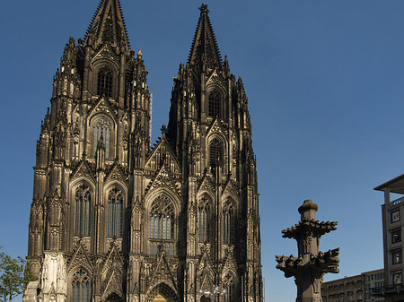 Kreuzblume vor Kölner Dom Fotos
