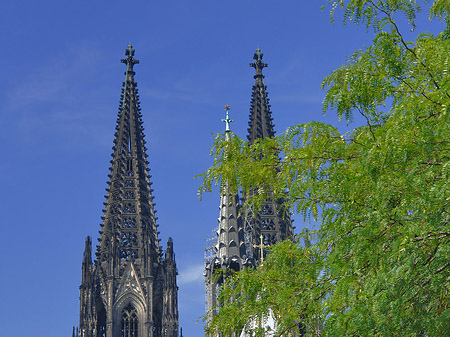 Fotos Türme des Kölner Doms | Köln