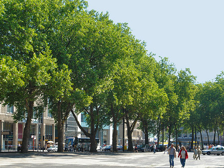 Neumarkt Fotos