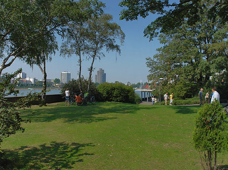 Rheinpark Foto 