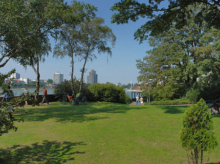 Foto Rheinpark - Köln