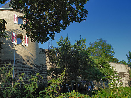Sachsenturm hinter Busch