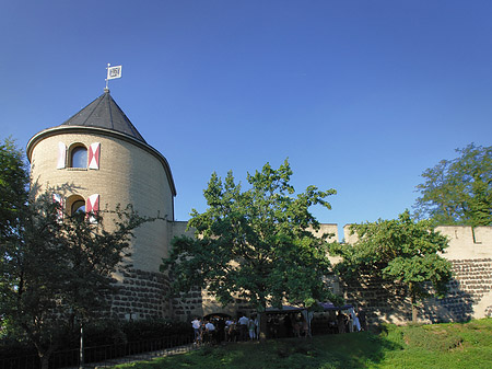 Sachsenturm - Nordrhein-Westfalen (Köln)