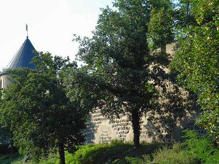 Fotos Stadtmauer und Sachsenturm am Sachsenring