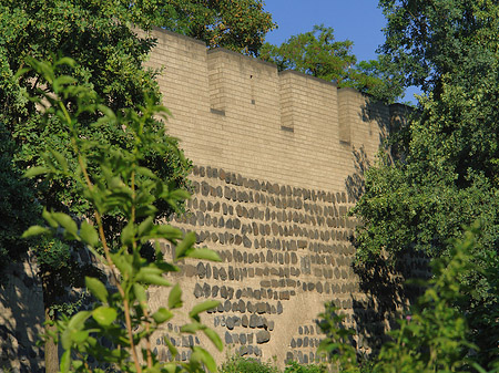 Foto Stadtmauer am Sachsenring