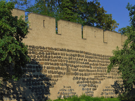 Stadtmauer am Sachsenring Fotos