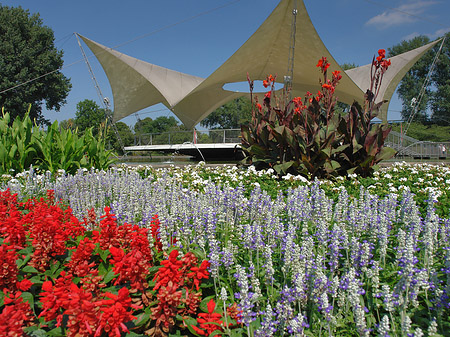 Tanzbrunnen im Rheinpark Foto 